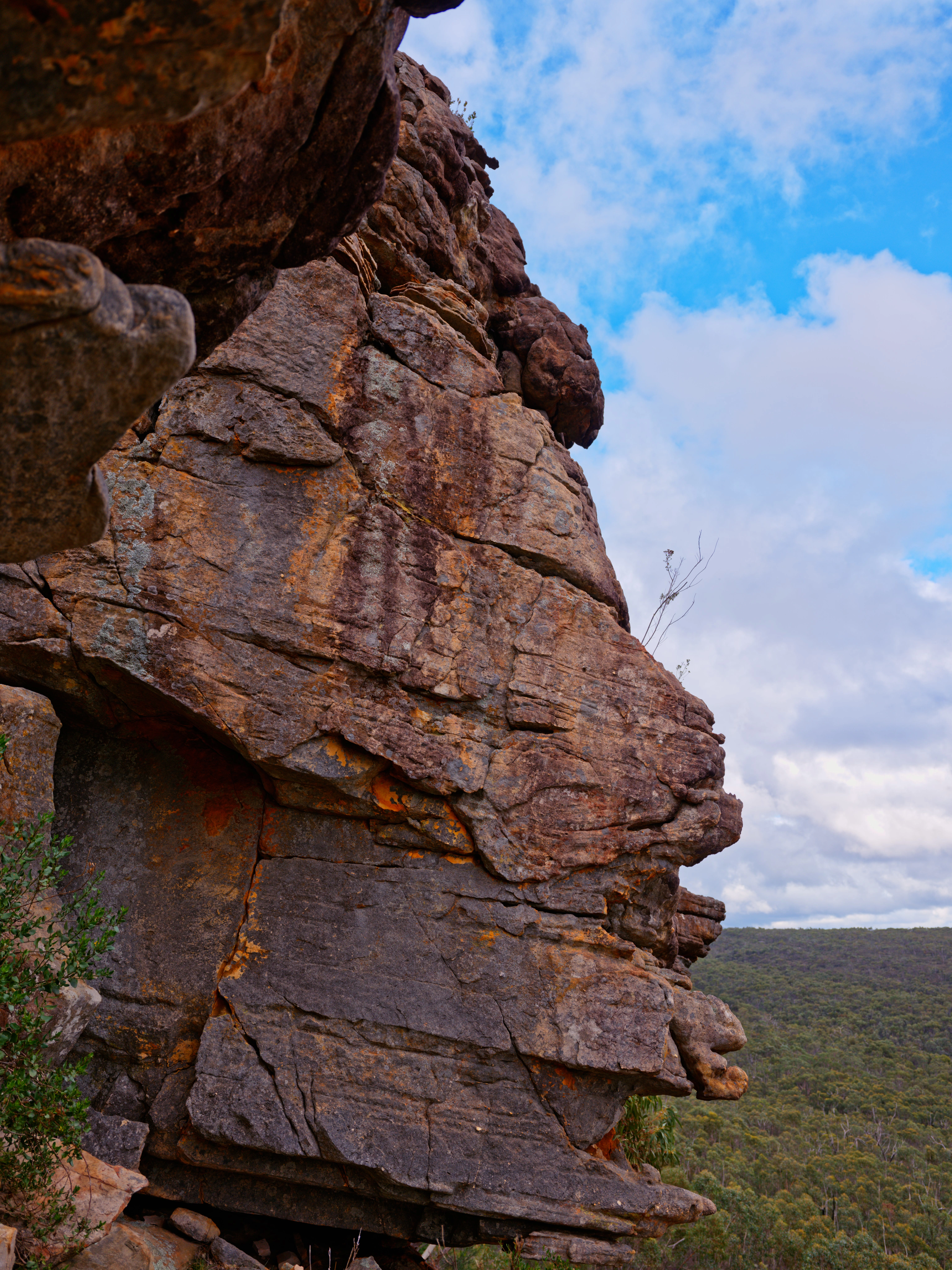 A rock on the way up to Mt Difficult